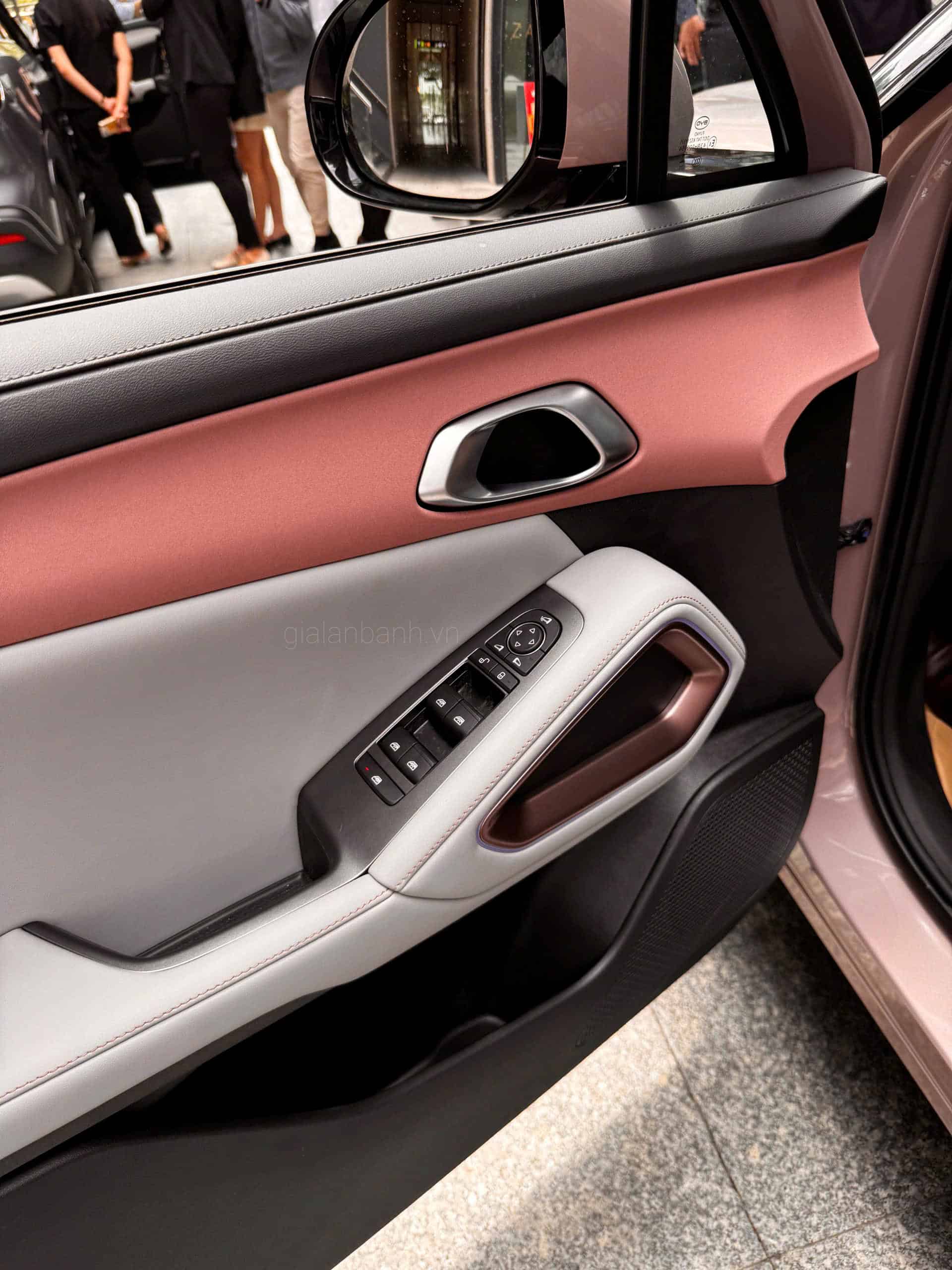 Cánh cửa BYD Atto 2